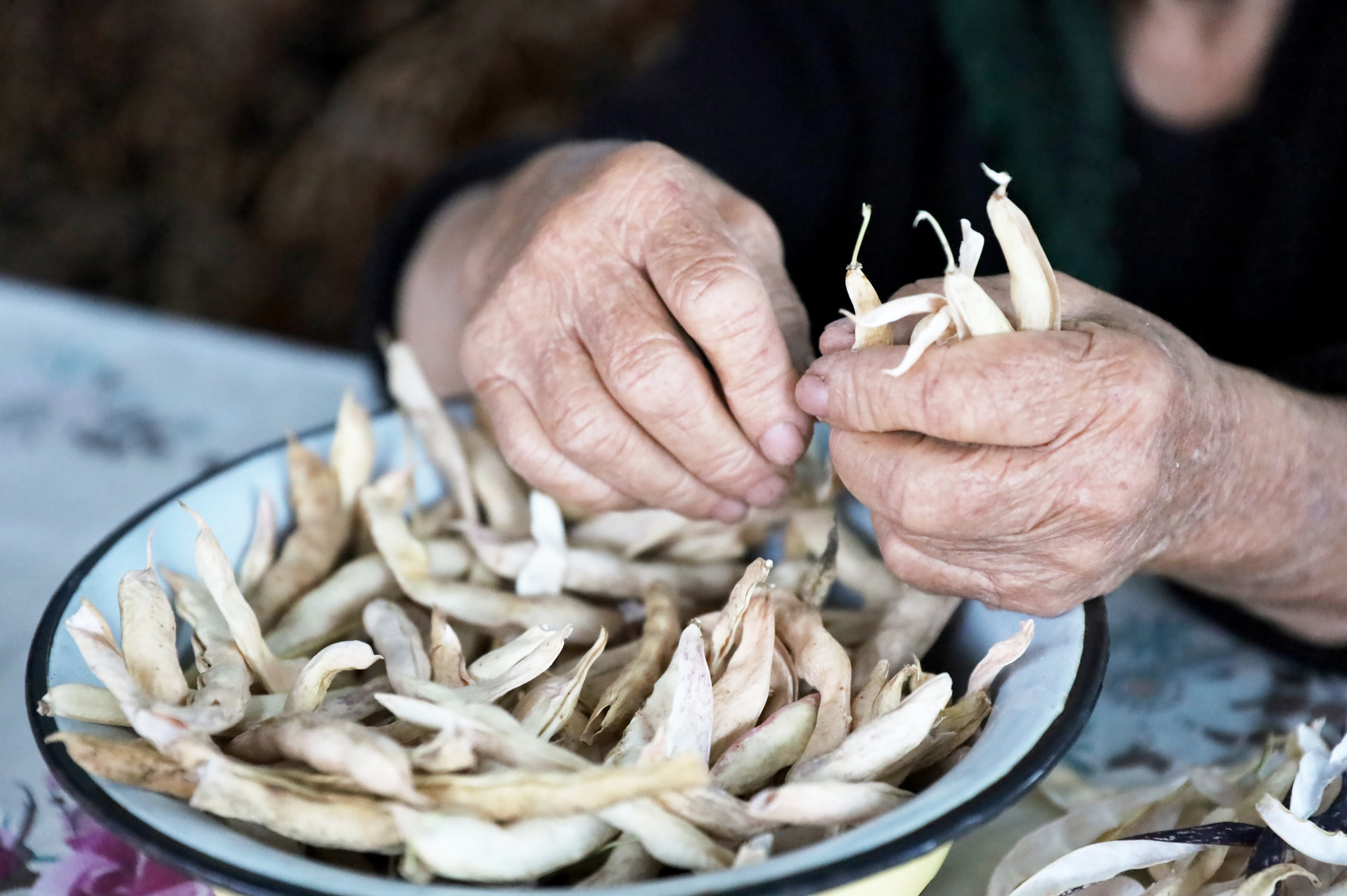 grandma Goharik was separating the seeds from the crushed husks of the beans grown in her garden 