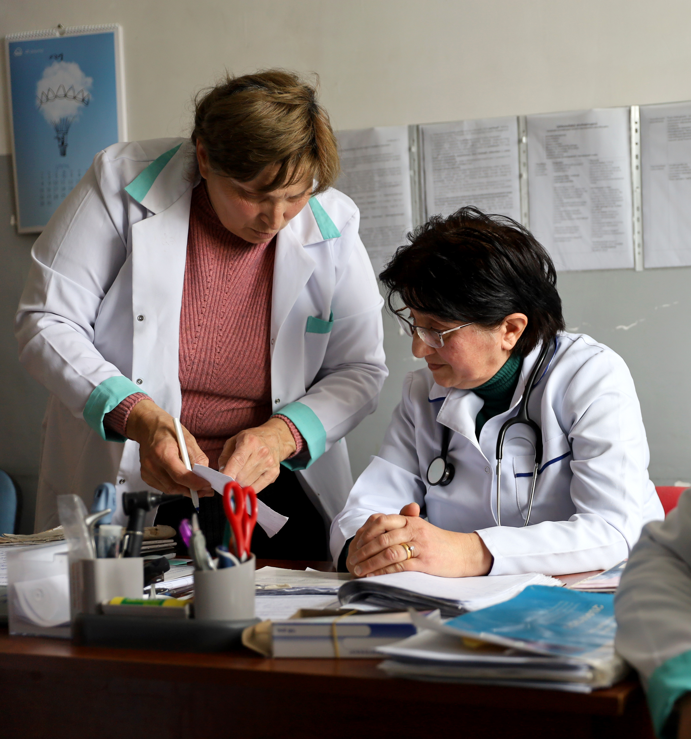 Նկարում պատկերված են երկու կանայք․ Լուսինե Ռոստոմյանը, որը սեղանի մոտ է նստած և իր բուժքույրը, որը թուղթը ձեռքին բժիշկից ինչ որ բան է ճշտում
