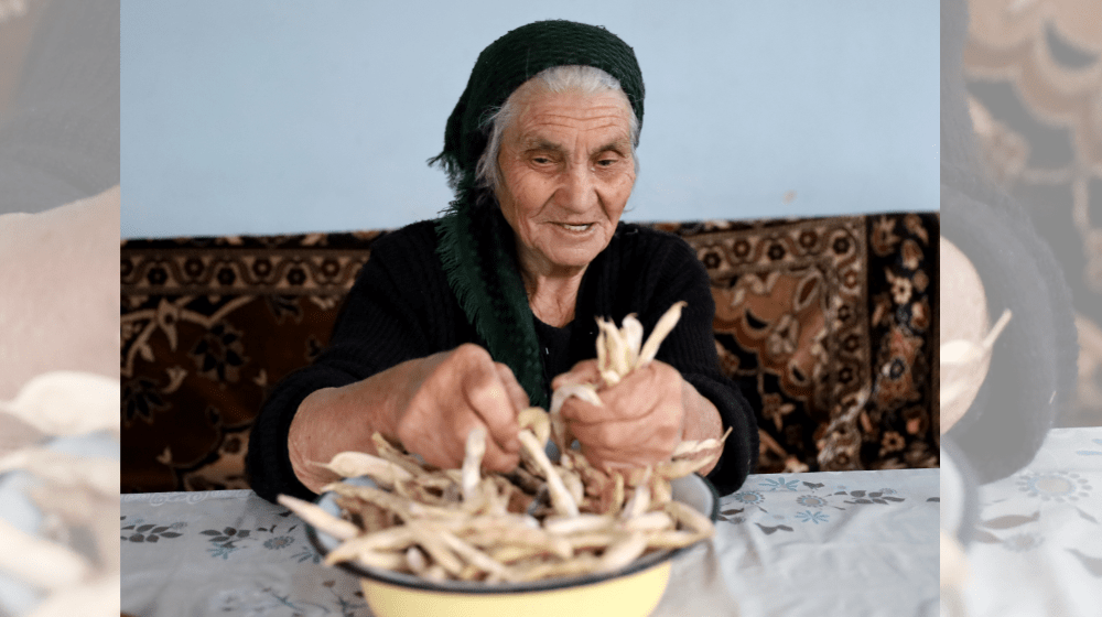 Grandma Goharik was separating the seeds from the crushed husks of the beans grown in her garden 