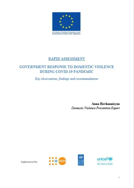 Rapid Assessment of Government Response to Domestic Violence During COVID-19 Pandemic