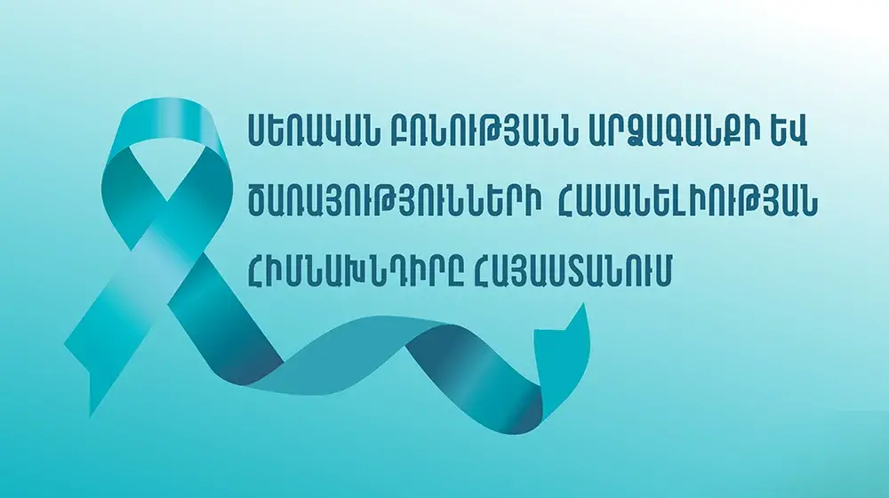 Սեռական բռնությանն արձագանքի և ծառայությունների հասանելիության հիմնախնդիրը Հայաստանում