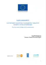 Rapid Assessment of Government Response to Domestic Violence During COVID-19 Pandemic